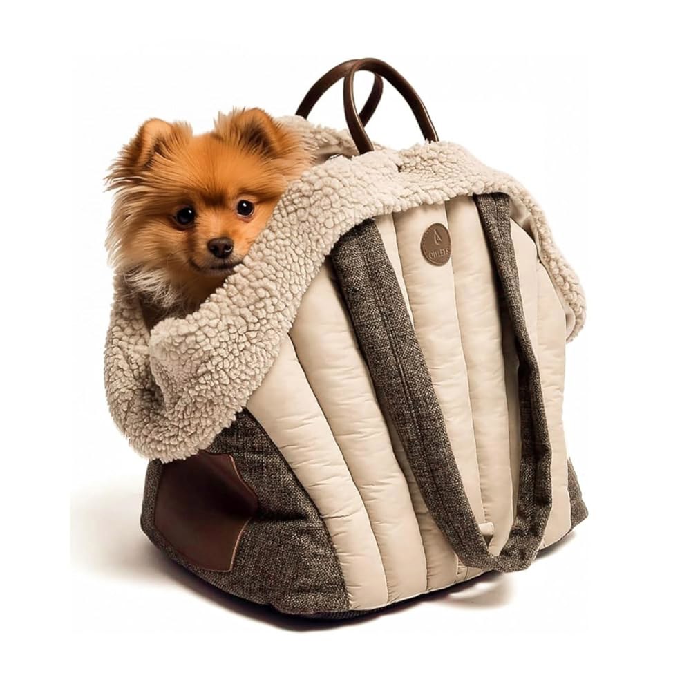 Pet Taxi (펫 택시)