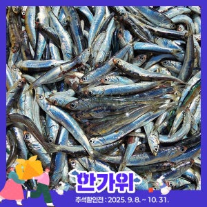 [보물섬해녀언니] 생멸치 500g