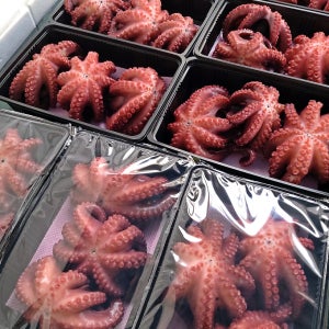 [보물섬해녀언니]해녀가 삶아주는 자숙돌문어 / 산소포장 활 돌문어 / 내장손질 돌문어