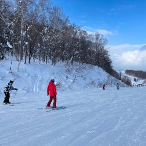 삿포로 테이네 스키장 프라이빗 스키 강습 (이동 서비스 포함)