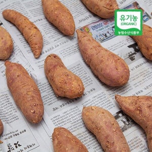 [진기가득] 무안 유기농 꿀 달수 고구마 특상 5kg x 2개 대용량