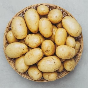 [하프클럽]늘바른 국산 친환경 무농약 햇감자500g20봉/개당80g이상