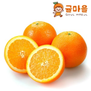 귤마을 고당도 네이블 오렌지 중과 88과 개당190g내외