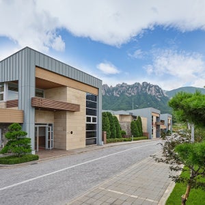 소노펠리체 델피노 / 강원도 호텔