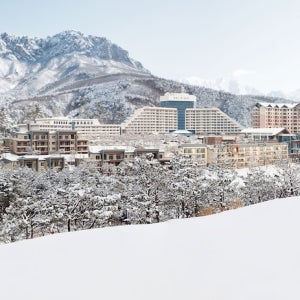 소노펠리체 델피노 / 강원도 호텔