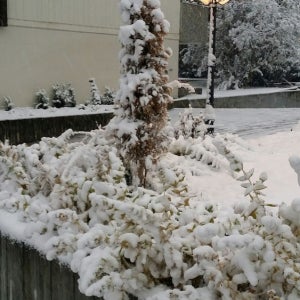 호텔 앰배서더 저마트 / 체르마트역 (Zermatt) 호텔