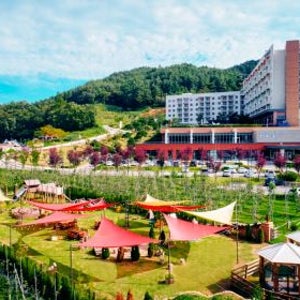 소노벨 청송 - [25세일_룸온리 프로모션] 패밀리(취사/스탠다드/트윈)