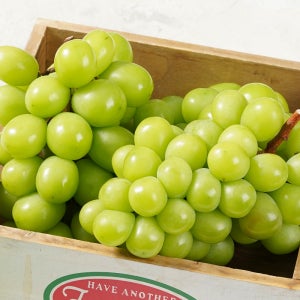 경북 영천 고당도 샤인머스켓 1kg 가정용 2-3송이 포도