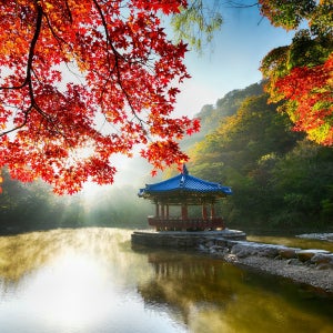 내장산 단풍 당일기차여행, 팔도장터열차