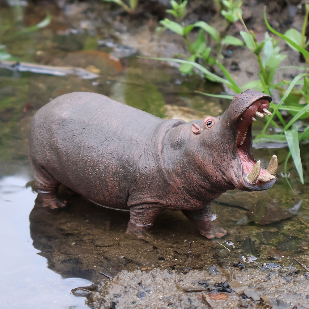하마 (Hippo)