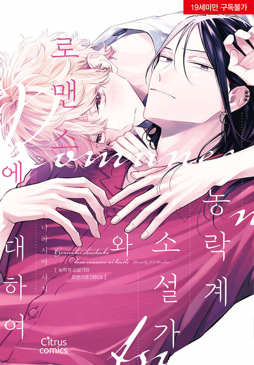 농락계 소설가와 로맨스에 대하여