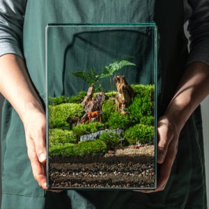 비단 이끼 테라리움 만들기 재료 대형 비바리움 키트, 이너푸름(innerpurm)