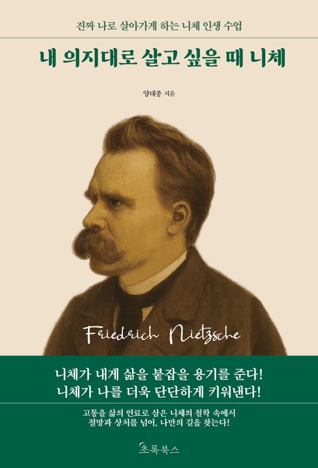 내 의지대로  살고 싶을 때 니체 (진짜 나로 살아가게 하는 니체 인생 수업)