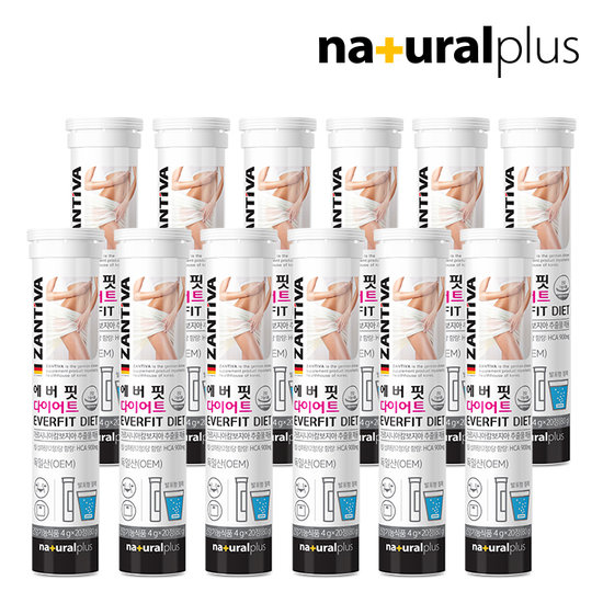 에버핏 다이어트 발포 가르시니아 20정 12통/<b>체지방</b>감소