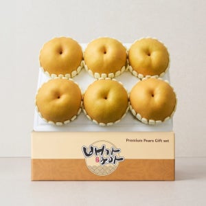 [새벽에On] 아삭한 식감에 깔끔한 단맛, 신품종 나주 창조배 3kg (4-6입)