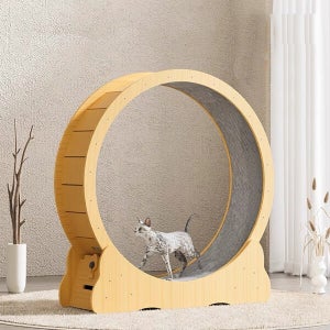 컬리독 애견 고양이 운동훈련 우드 캣휠A(L)