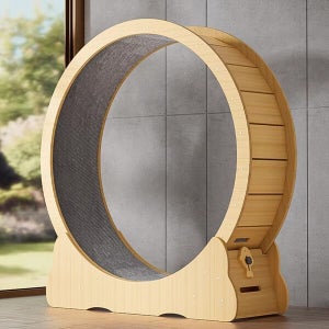 컬리독 애견 고양이 운동훈련 우드 캣휠A(M)