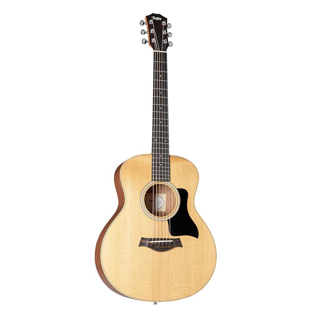 Taylor 테일러 Sapele GS Mini by Taylor