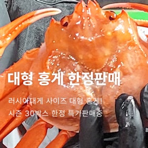 [한정수량 30박스] 1마리 500g 대형 홍게 사이즈 미쳤습니다!