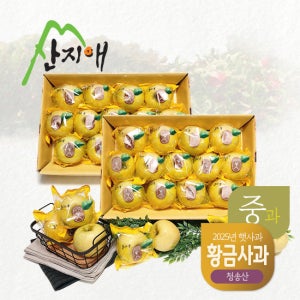 산지애 황금 사과 시나노골드 6kg (3kg*2박스) TV상품