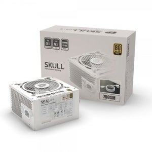 NEWZEN SKULL 750SM 모듈러 ATX3.1 80PLUS골드 화이트