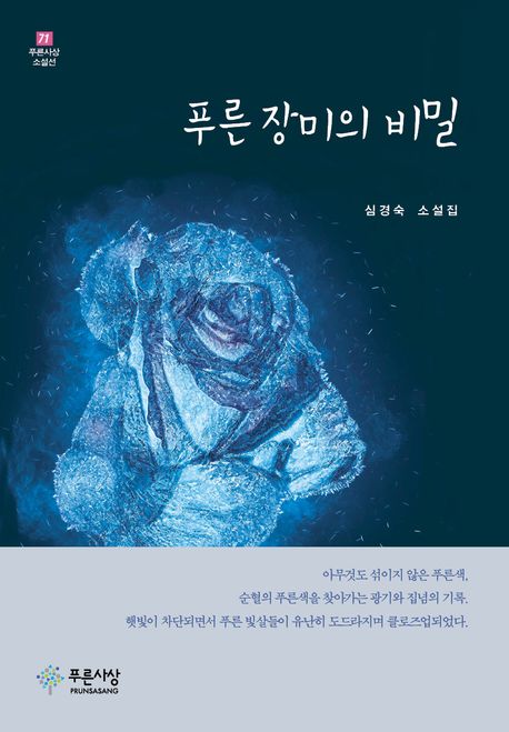 푸른 장미의 비밀 : 심경숙 소설집