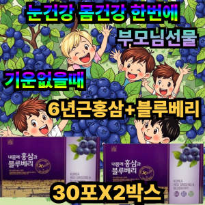 <b>만성피로</b>힘들때 양가어머니선물 6년근홍삼블루베리 30포X2박스