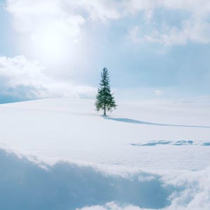 삿포로 비에이 후라노 버스투어(준페이 예약, 엔데이트립)