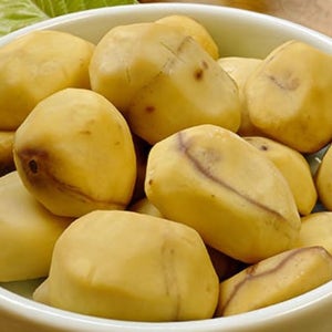 [충남 소상공인돕기] 국내산 맛밤/밤양갱