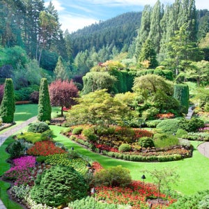 노랑풍선 시애틀여행 가족여행 미국 자유연휴 명절여행 노쇼핑해외 요호국립공원 시애틀 여행