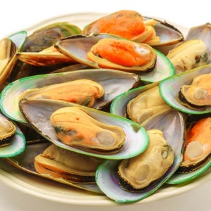 일반 홍합보다 2배 더 큰 뉴질랜드 그린홍합 800g 1팩