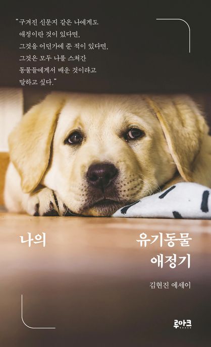 나의 유기동물 애정기 : 김현진 에세이 표지