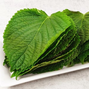 당일수확 GAP 인증 밀양깻잎 500g