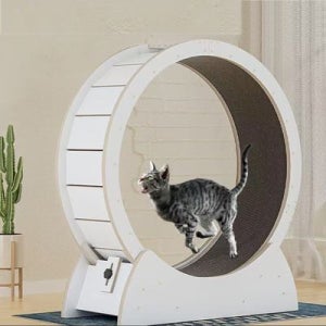 고양이 저소음 운동훈련 우드 캣휠D-1