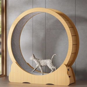 애견 고양이 운동훈련 우드 캣휠A(XL)