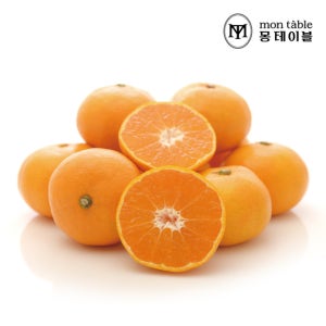 몽테이블 제주 햇감귤 4.5kg(프리미엄과/S)