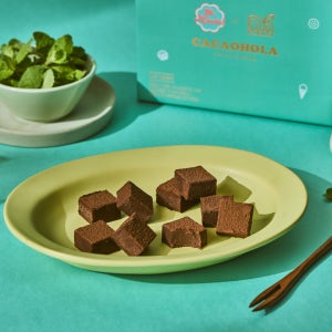 💚민초단 반민초단 그 벽을 허물다. 민트 생초콜릿💚, 초코동이