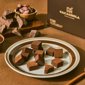 [비건초콜릿] 다크 수제 생초콜릿 140g, 초코동이