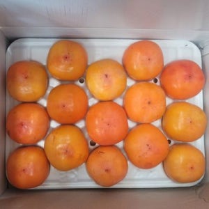 국내산 청도 반시 꼬마과 5kg 56-65과