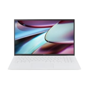 LG 그램 39.6cm 15Z90R-GA56K