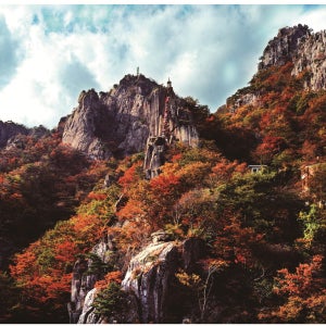 대둔산 단풍 당일기차여행, 케이블카, 장터열차