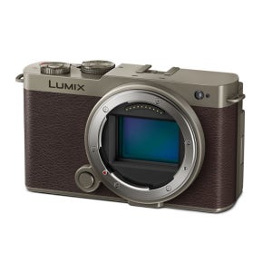 파나소닉 루믹스 DC-S9 바디 티타늄 골드+정품배터리-TR