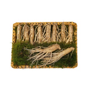 [풍기우연홍삼명가] 풍기인삼 6~5년근 등바구니포장 9-10편/750g