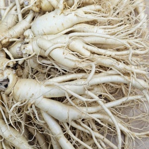 [풍기우연홍삼명가] 풍기인삼 새척인삼 6~5년근 난발삼 10-12편 750g