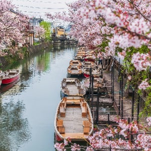 규슈 온천 4일 국적기대한항공탑승 베스트셀러 벳부스기노이(소라관) 25년 리뉴얼 신상호텔 후쿠오카전망대 간식특전 전일정3인실가능 대한항공 인천출발