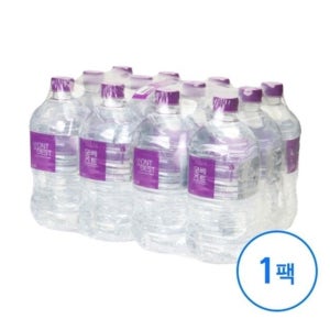 몽베스트 생수 유라벨 1L 12병