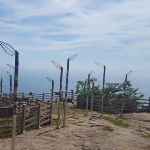 여수시 전라남도광양여행 전남광양여행 여수여행 3일 KTX