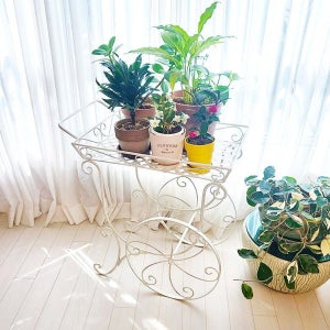 광고 메인 이미지