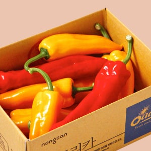 [김제] 오아로 트리벨리 파프리카 1.2kg[1.2kg]
