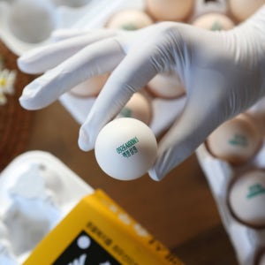 [동물복지 무항생제] 다슬기먹여 귀하게 키운 백봉오골계 유정란 30구[]